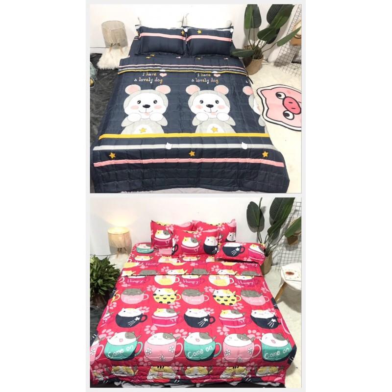 Bộ ga gối chăn trần hè cotton poly 1m6x2m