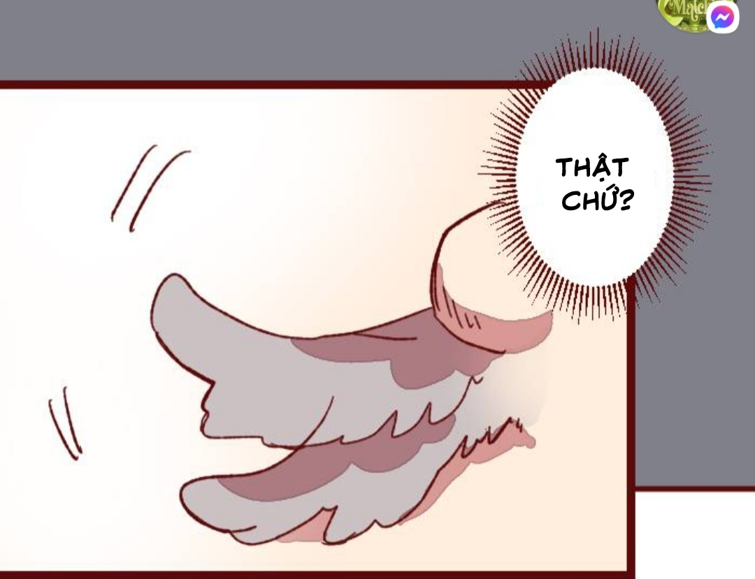 tôi và giáo sư của tôi chapter 9 25