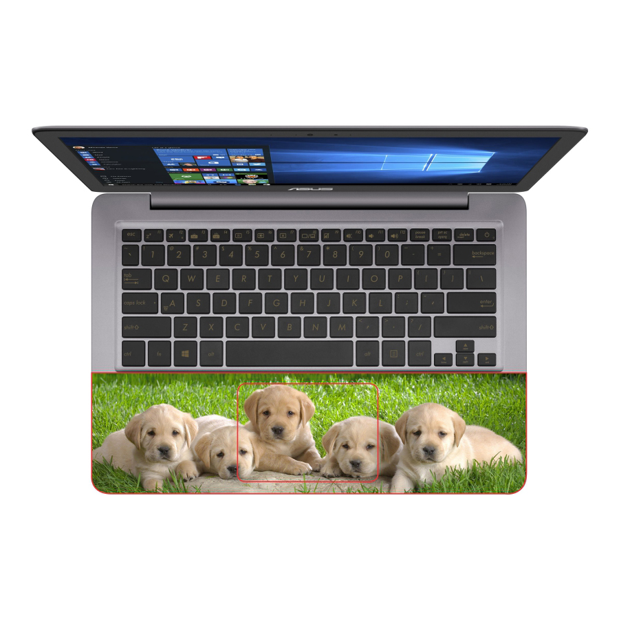 Mẫu Skin Dán Trang Trí Decal Laptop Animal – Mã: DCLTDV 026