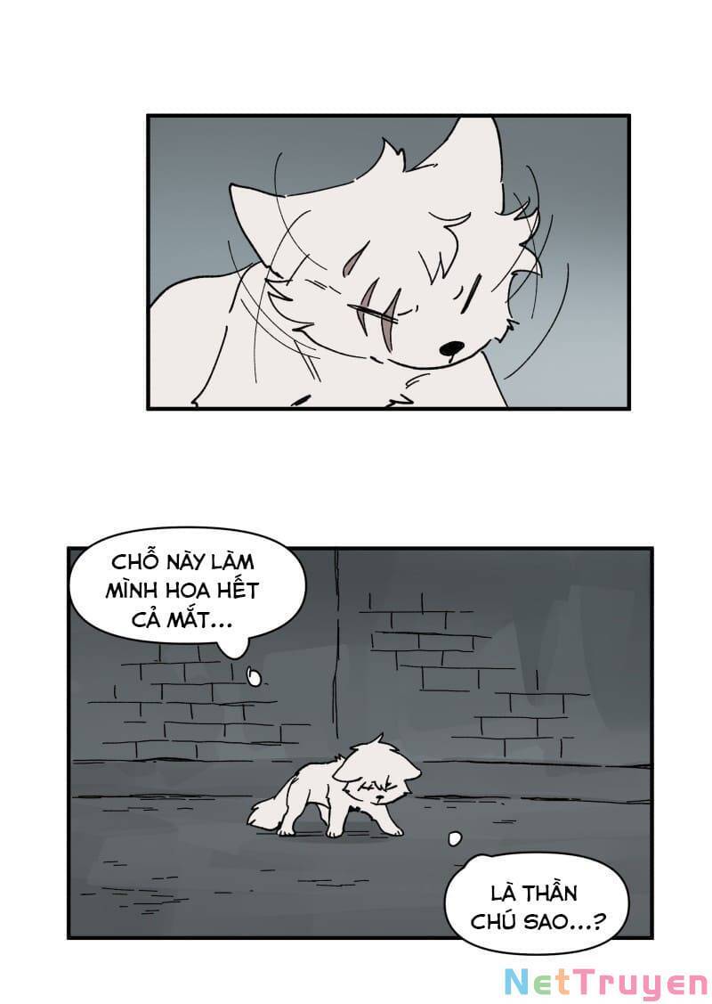 lumine - cội nguồn ánh sáng chapter 154 28