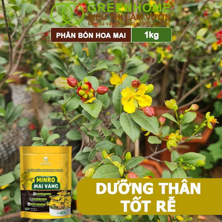 Phân Bón Hoa Mai Greenhome, Minro, Bao 1kg, Hữu Cơ, Dưỡng Cây, Bung Chồi, Mượt Lá, Khoẻ Rễ, Bền Hoa