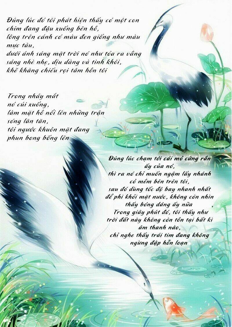 sâm sâm dã chapter 1 6