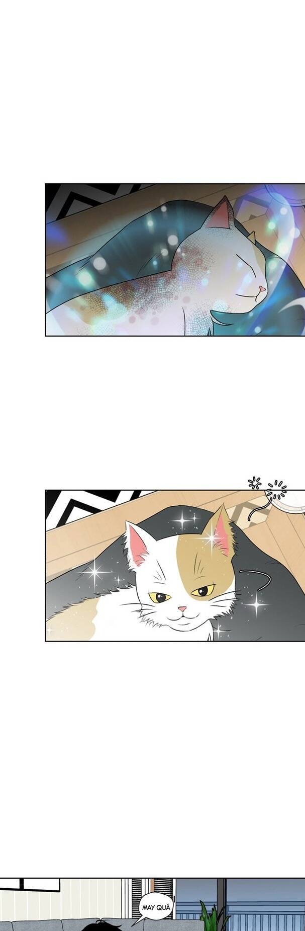 gương mặt thiên tài chapter 1 34