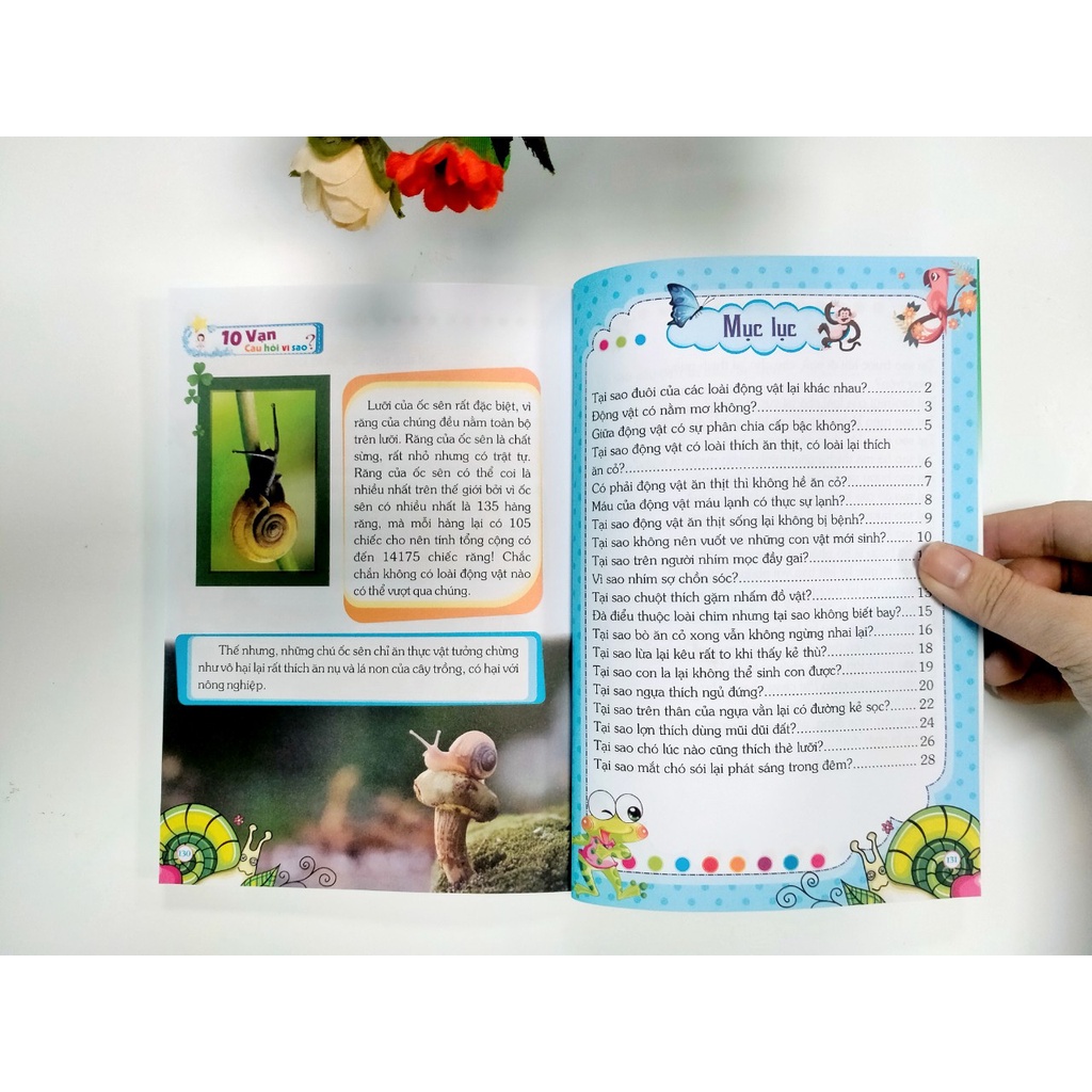 Sách - Trọn bộ Mười cuốn 10 Vạn Câu Hỏi Vì Sao - ndbooks