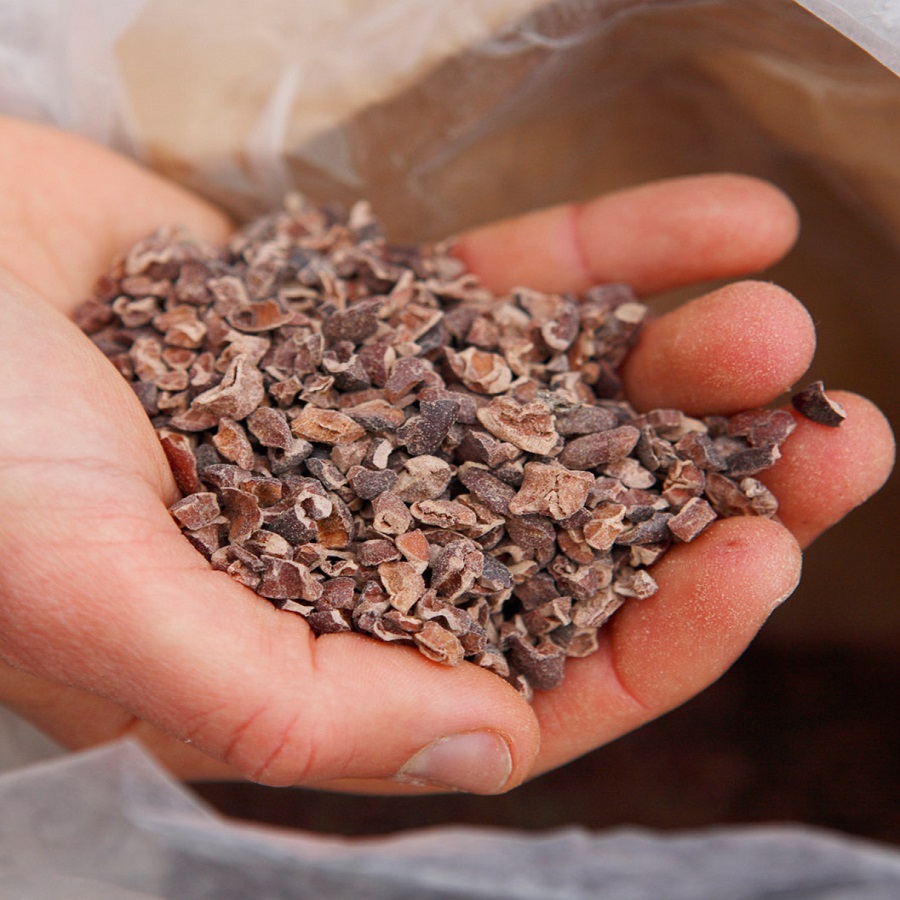 Cacao Nibs Cacaomi (Ca cao ngòi) - 1kg