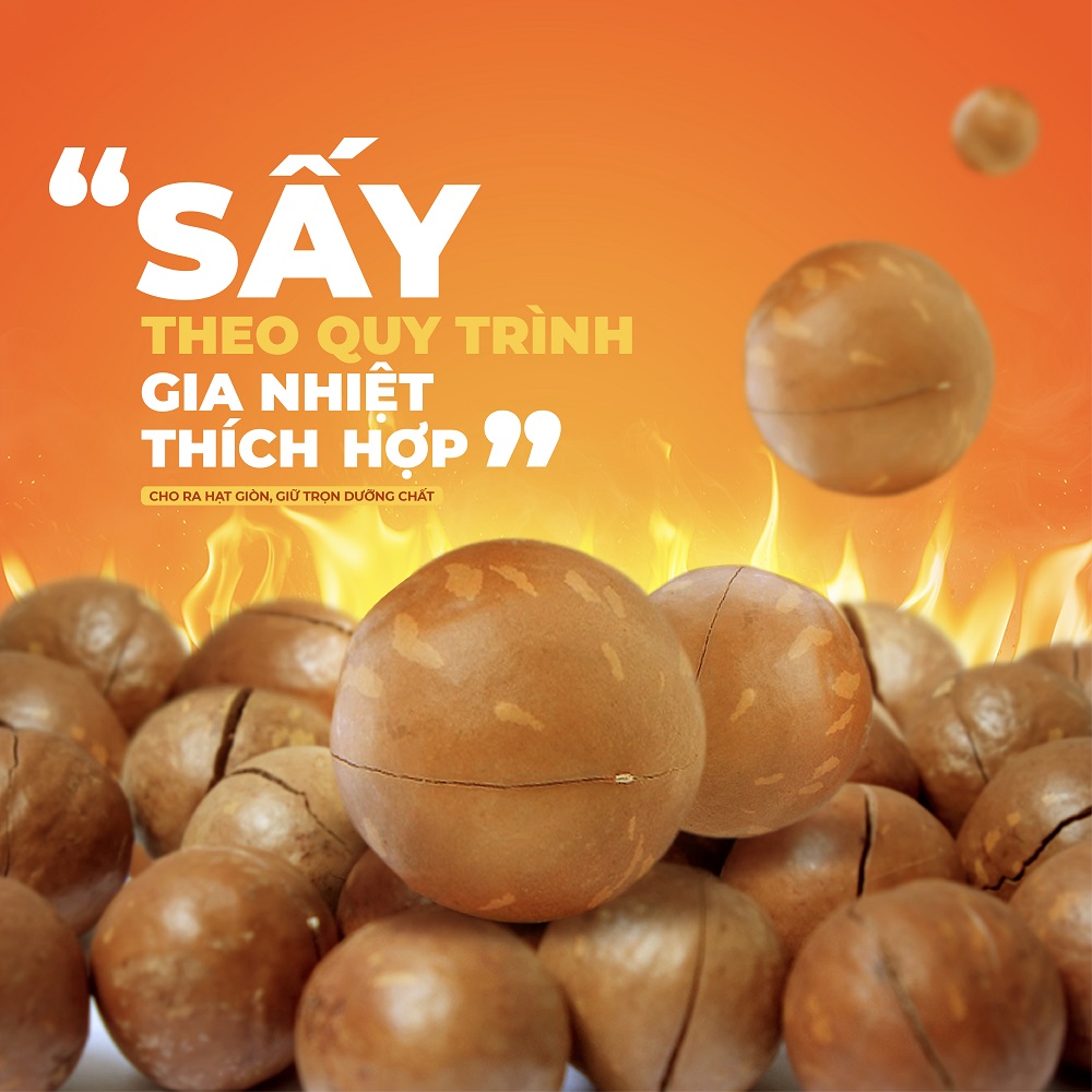 Hạt macca tách vỏ TANU NUTS, mắc ca nhân Tây Nguyên hạt ngũ cốc tốt cho bà bầu