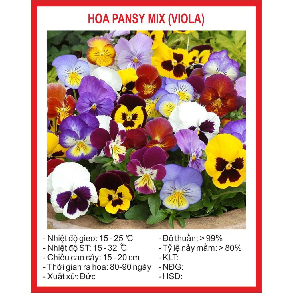 Hạt Giống Hoa Pansy Mix 100 Hạt