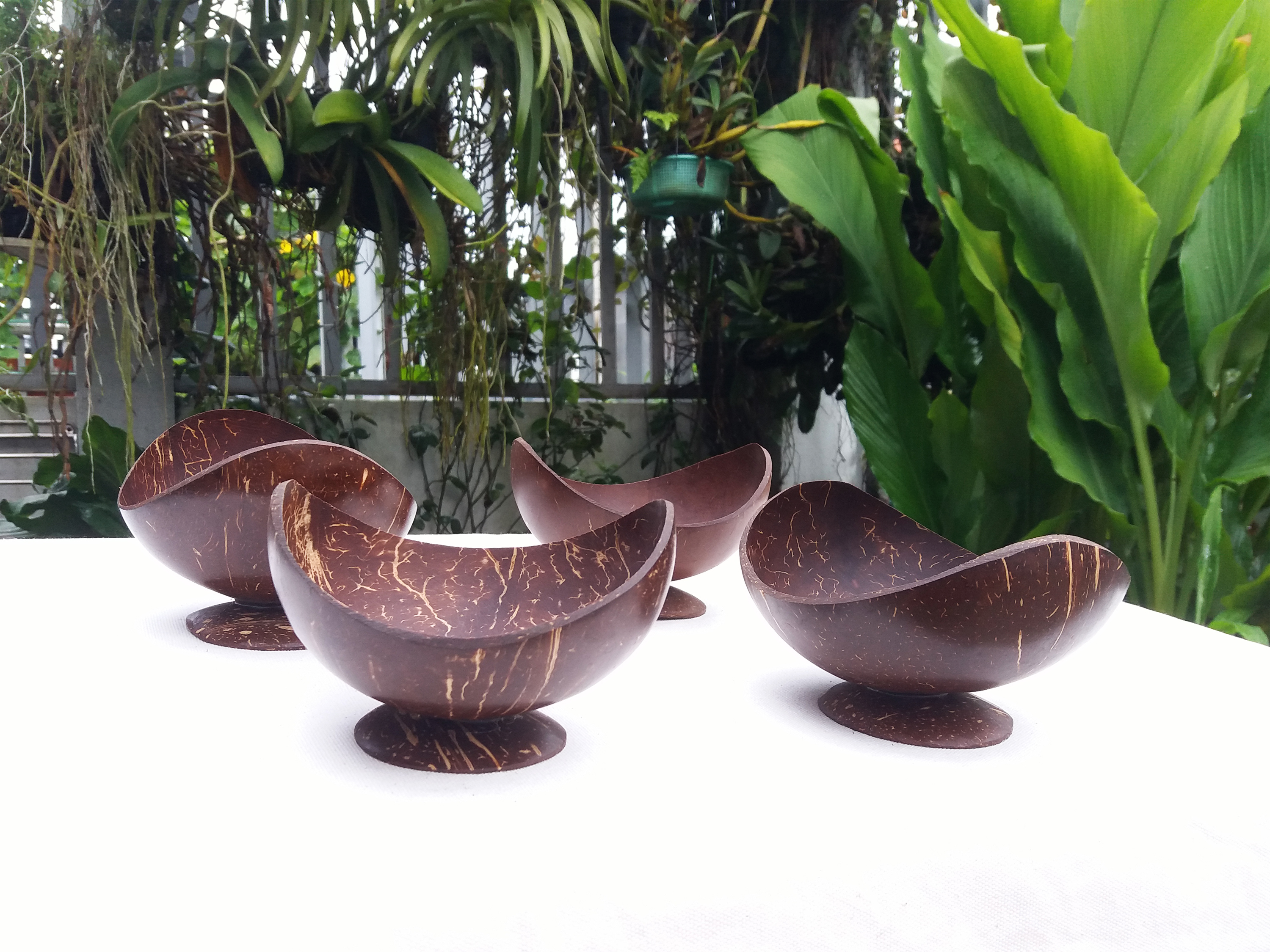 4 Ly gáo dừa - Cốc gáo dừa tự nhiên dáng Oval ST-0025 (Set gồm 4 chiếc)