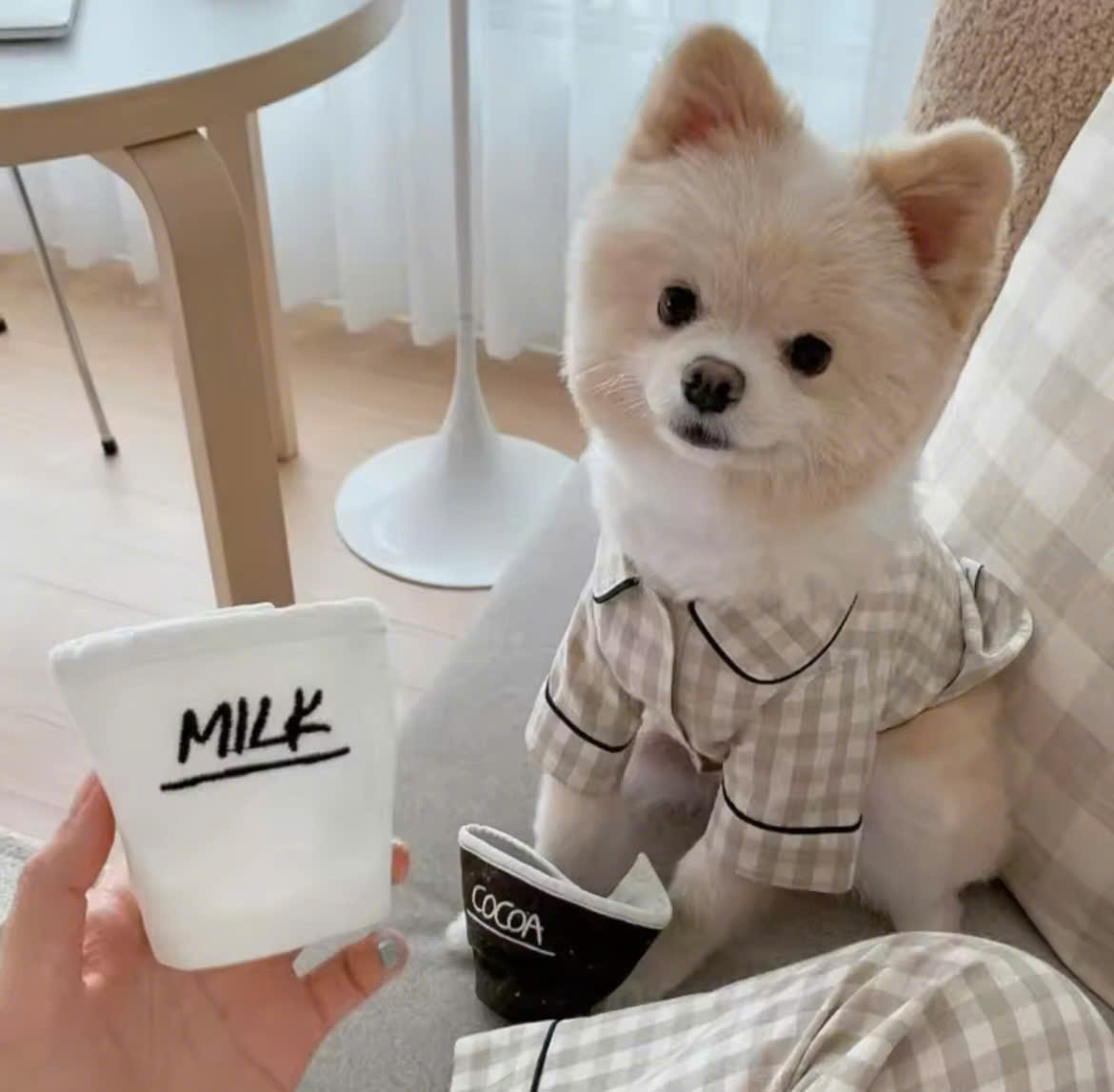 ÁO CARO SANG TRỌNG TỪ 0.2-7KG DÀNH CHO THÚ CƯNG CHÓ MÈO