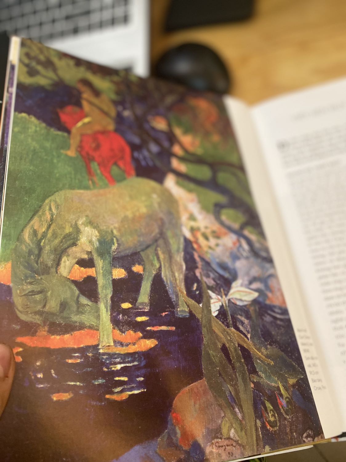 Combo 2 Cuốn Sách Về Cuộc Đời Và Sự Nghiệp Nghệ Thuật Của Gauguin: Đây Là Gauguin + Paul Gauguin