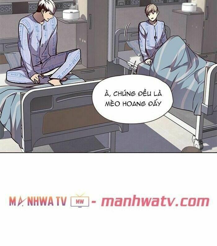 biến thân thành mèo chapter 46 55