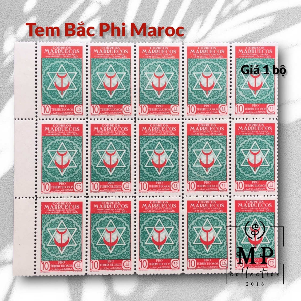 Bộ 5 tem xưa Bắc Phi Maroc thuộc địa Tây Ban Nha sưu tầm.