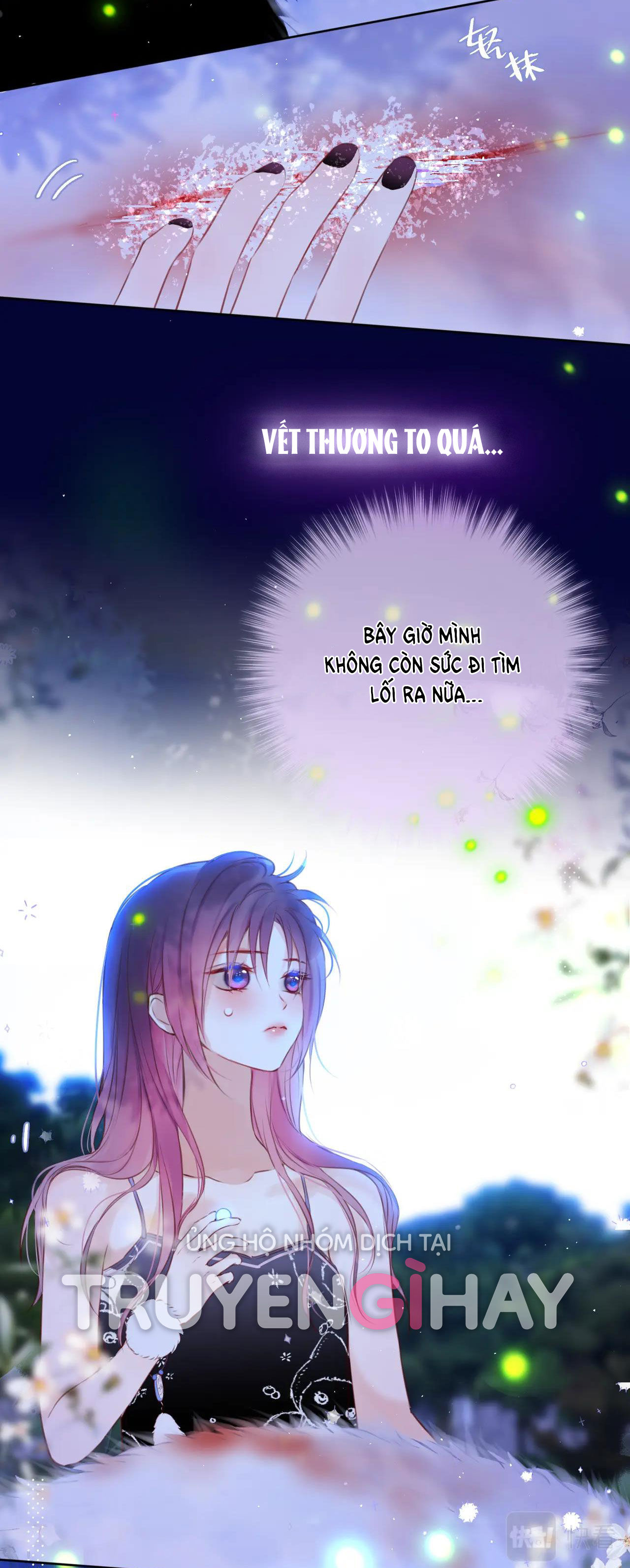 cạm bẫy của hồ ly chapter 29.1 27