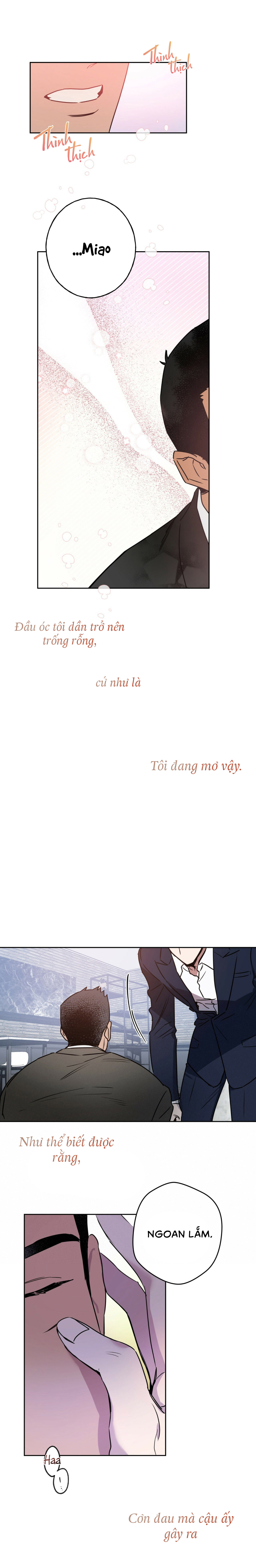 ang ang chapter 5 12