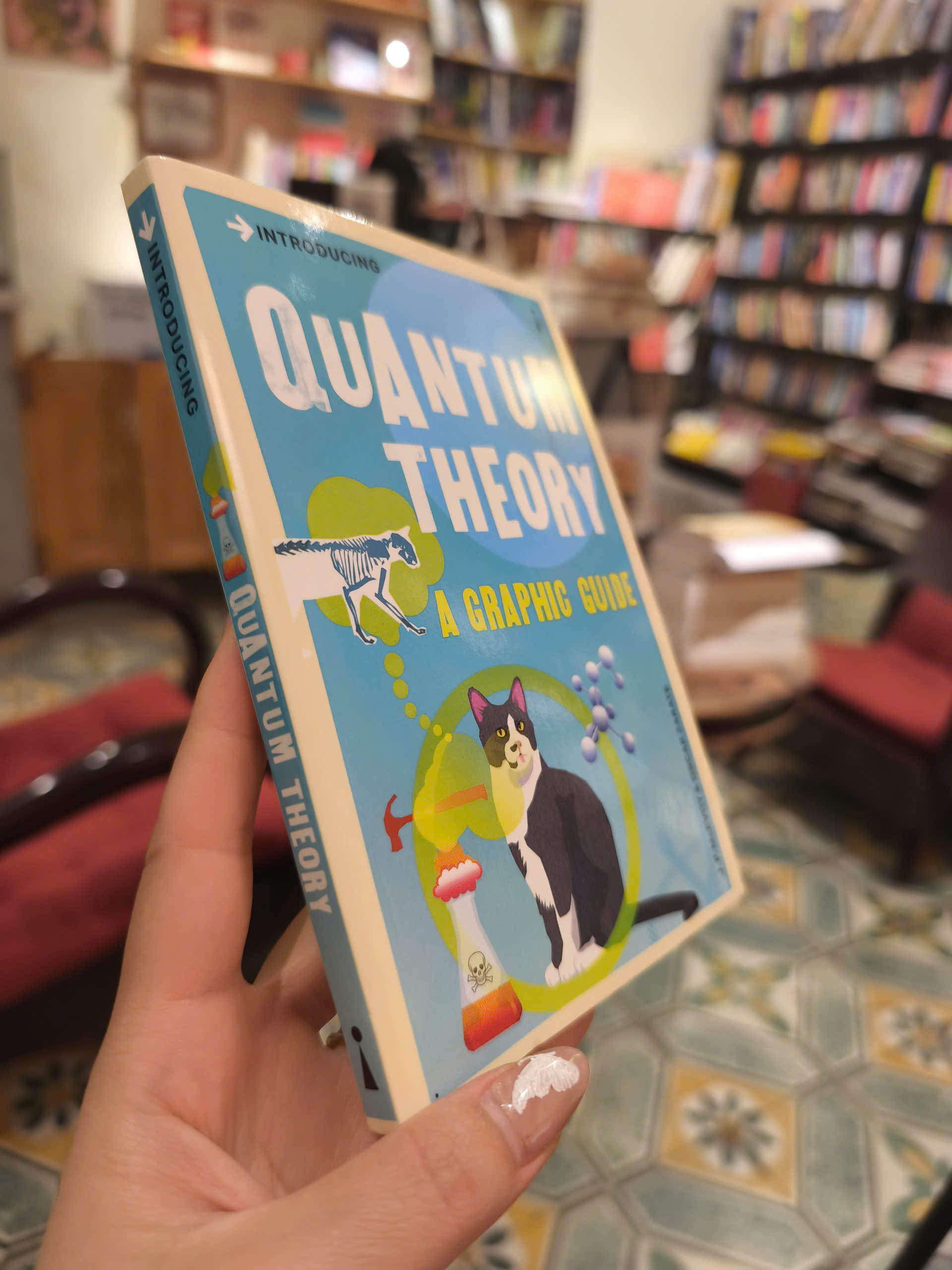 Sách - Introducing Quantum Theory: A Graphic Guide (Graphic Guides) by J.P. McEvoy