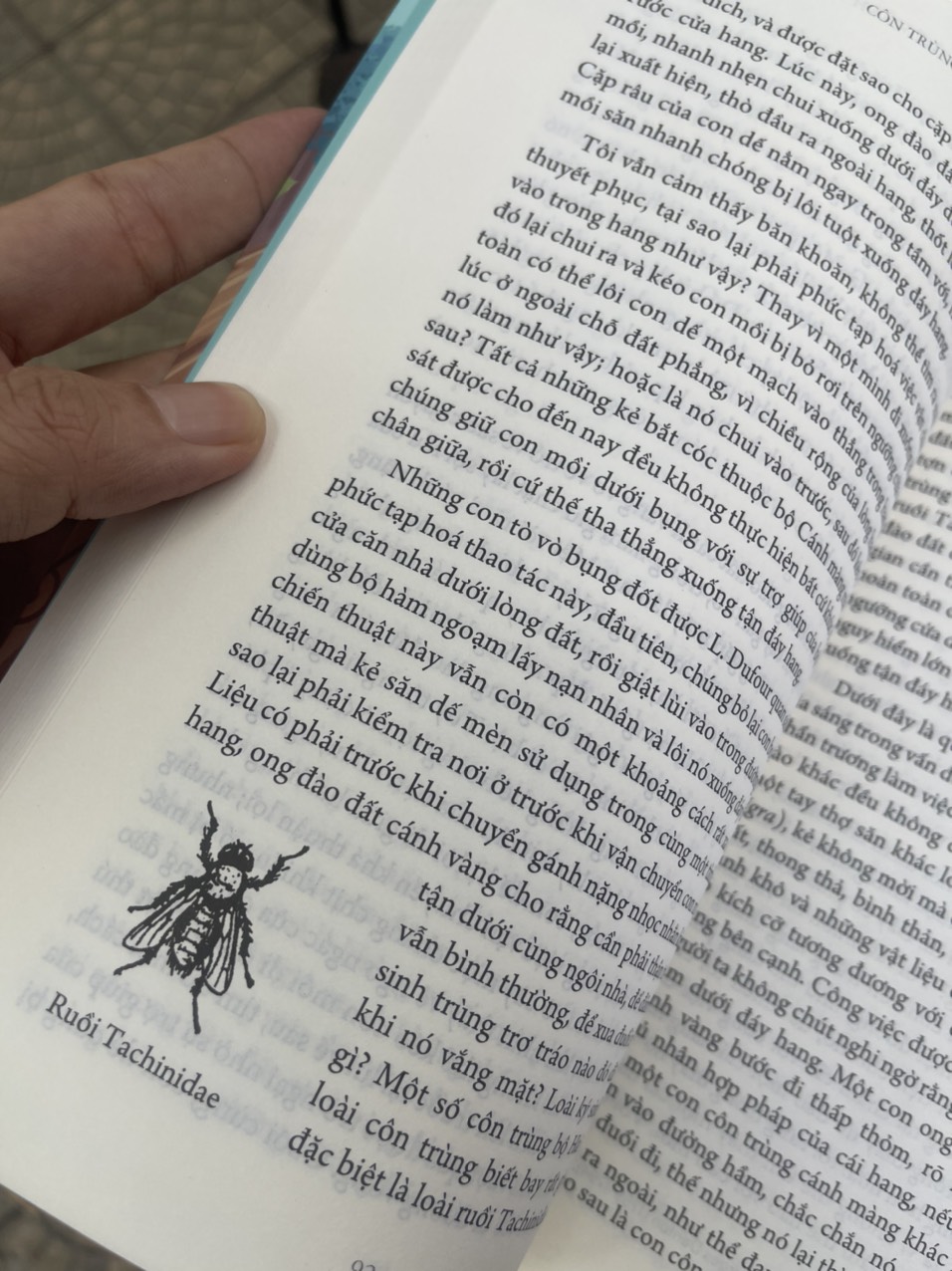 CÔN TRÙNG KÝ – Tập 1 - Jean-Henri Fabre - An Lạc Group dịch – Huy Hoàng Bookstore – bìa mềm