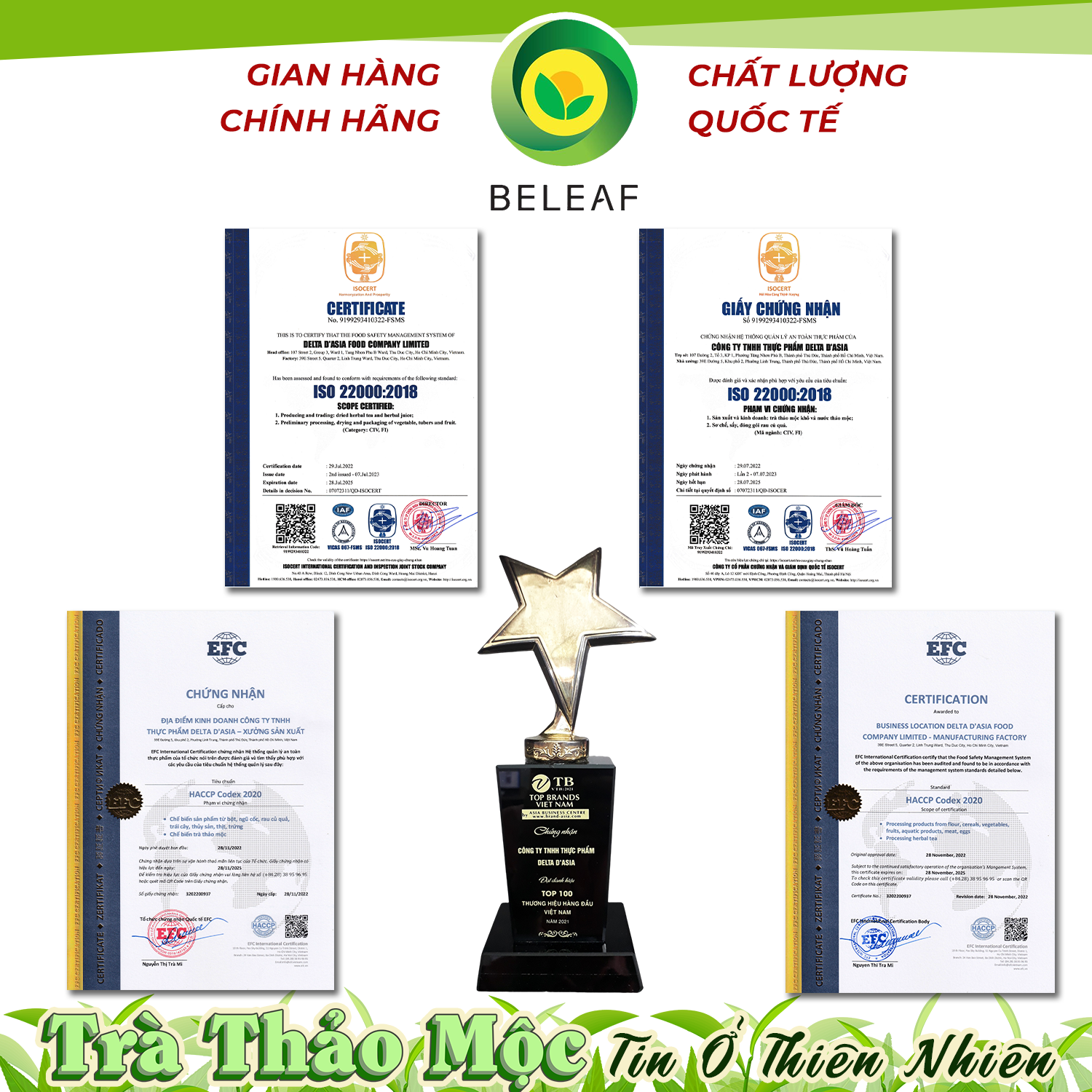 Lá Xông Giải Cảm – Gói Xông Giải Cảm Tiện Lợi Beleaf