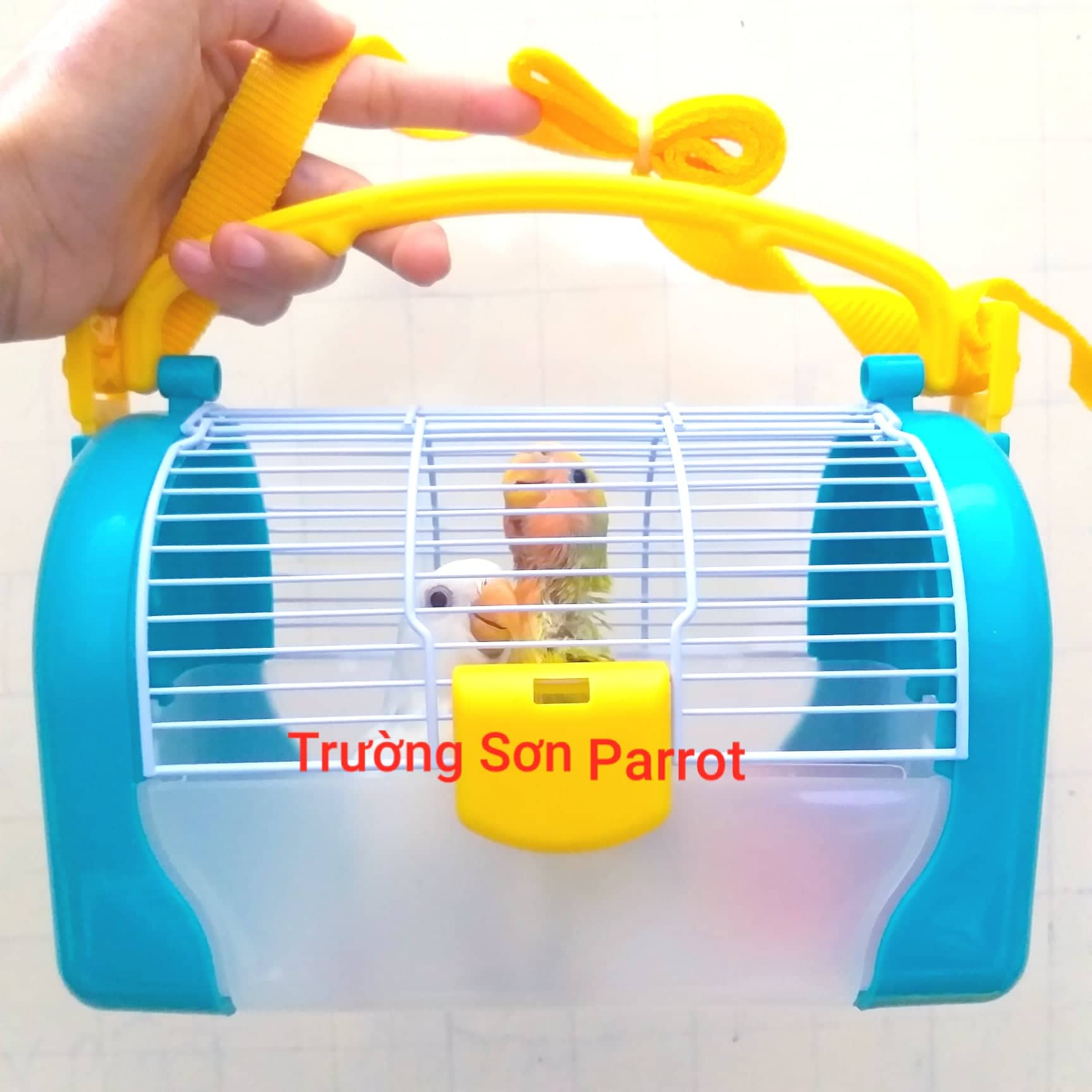 Lồng vận chuyển cho vẹt nhỏ, hamster....