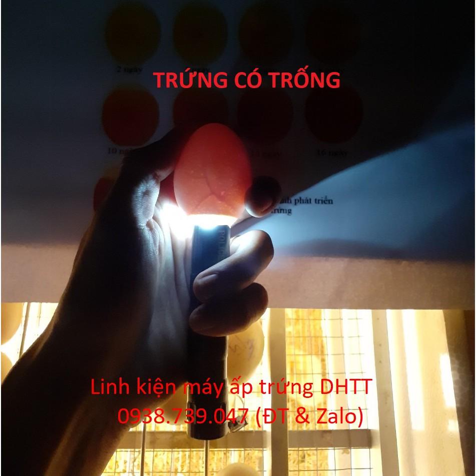 Đèn pin soi trứng