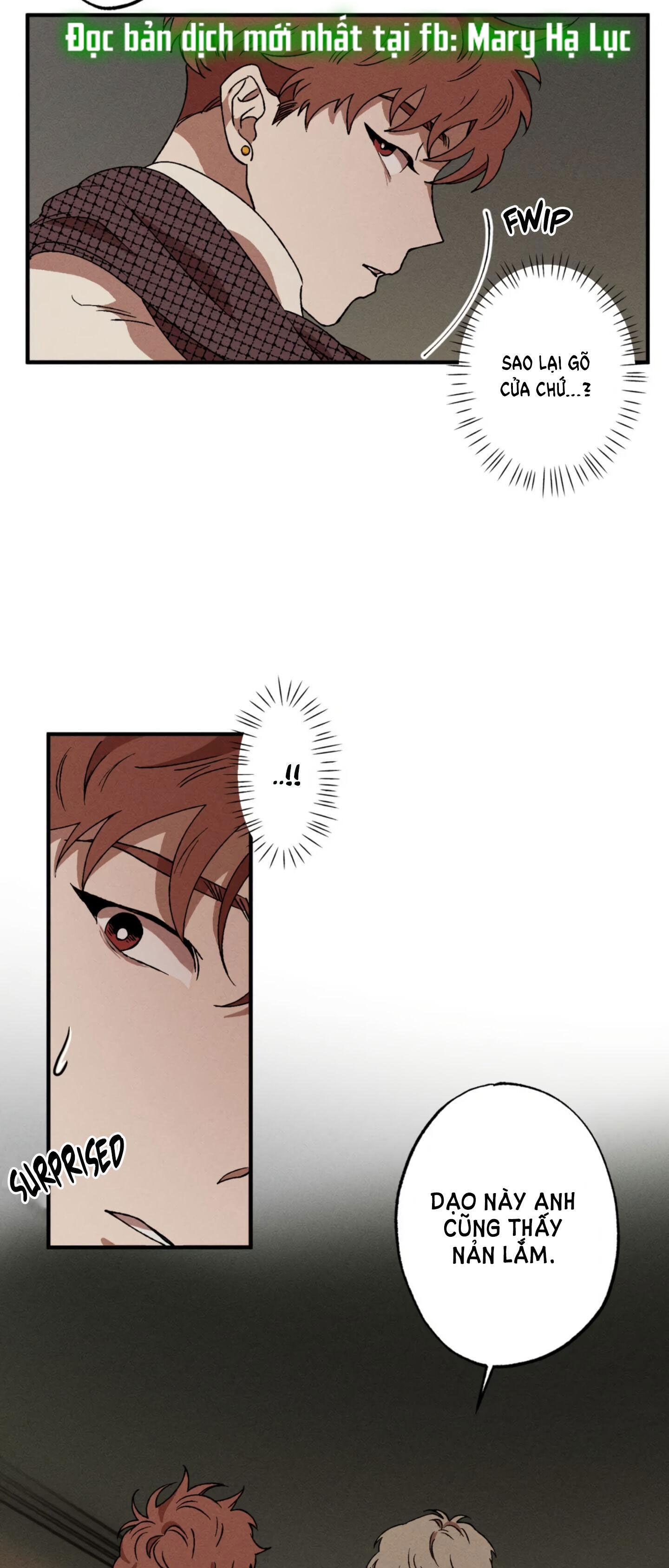 bẫy kép chapter 23.1 11