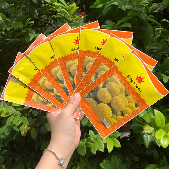 MEGASEED I Hạt giống Vạn Thọ Thái  Mega 45 vàng