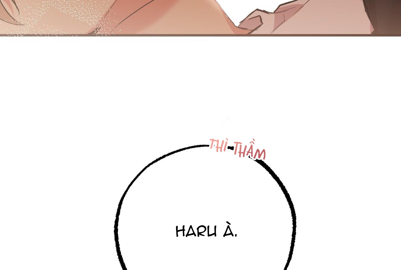 đàn thỏ của habibi chapter 35 245