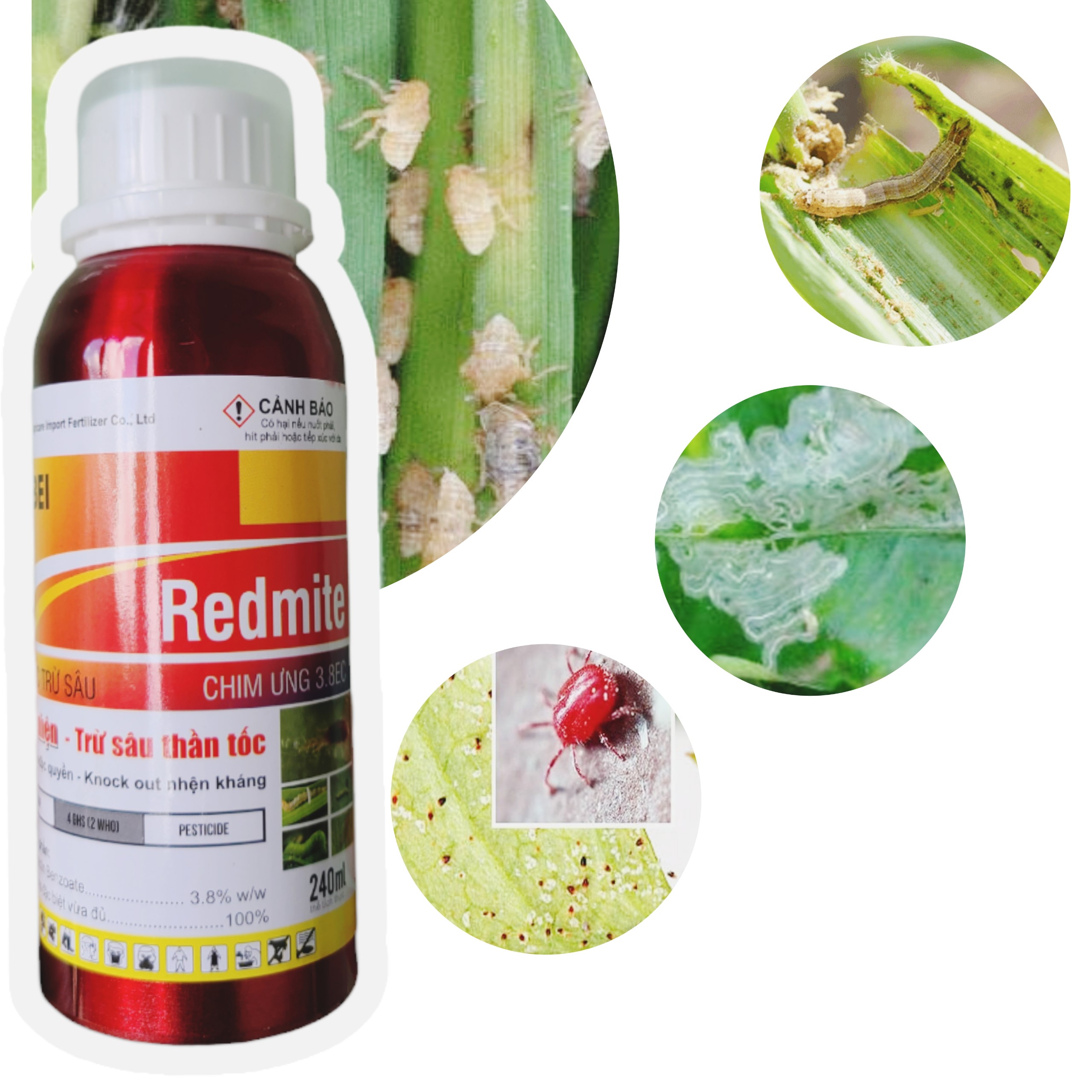 TIÊU SÂU DIỆT NHỆN THẦN TỐC REDMITE Chế phẩm diệt côn trùng thế hệ mới PHỤ GIA ĐẶC BIỆT, ĐỘC QUYỀN