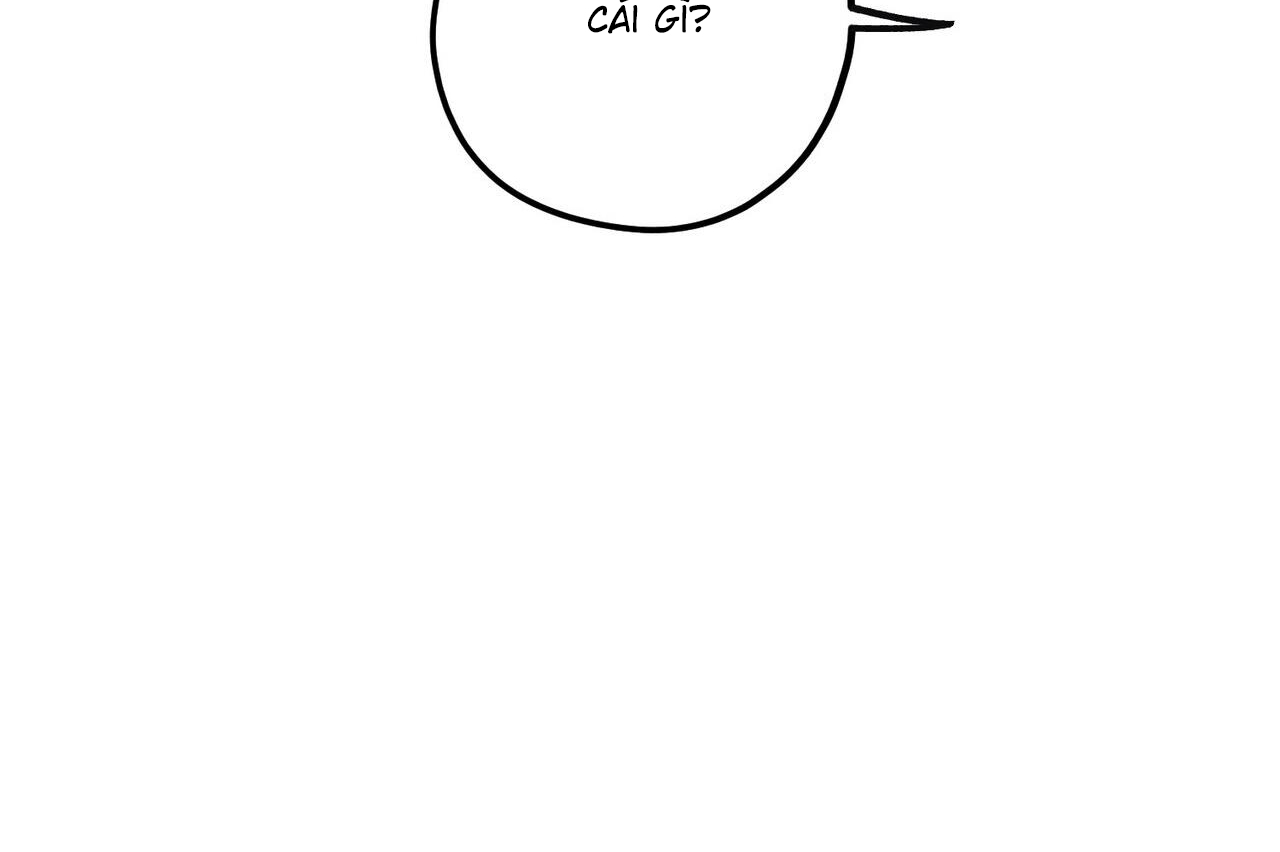 chàng dâu nhà họ kang chapter 33 20