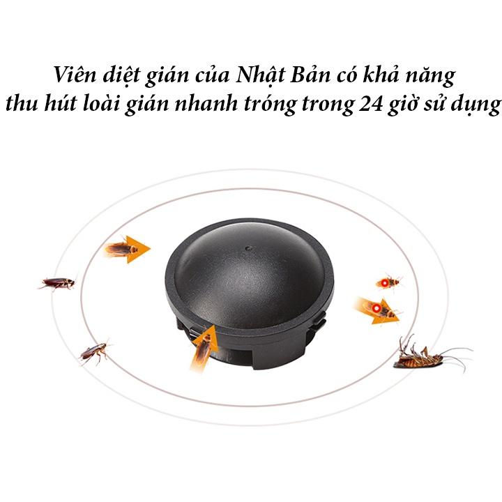Thuốc diệt gián Nhật 12 viên không mùi, an toàn khi sử dụng