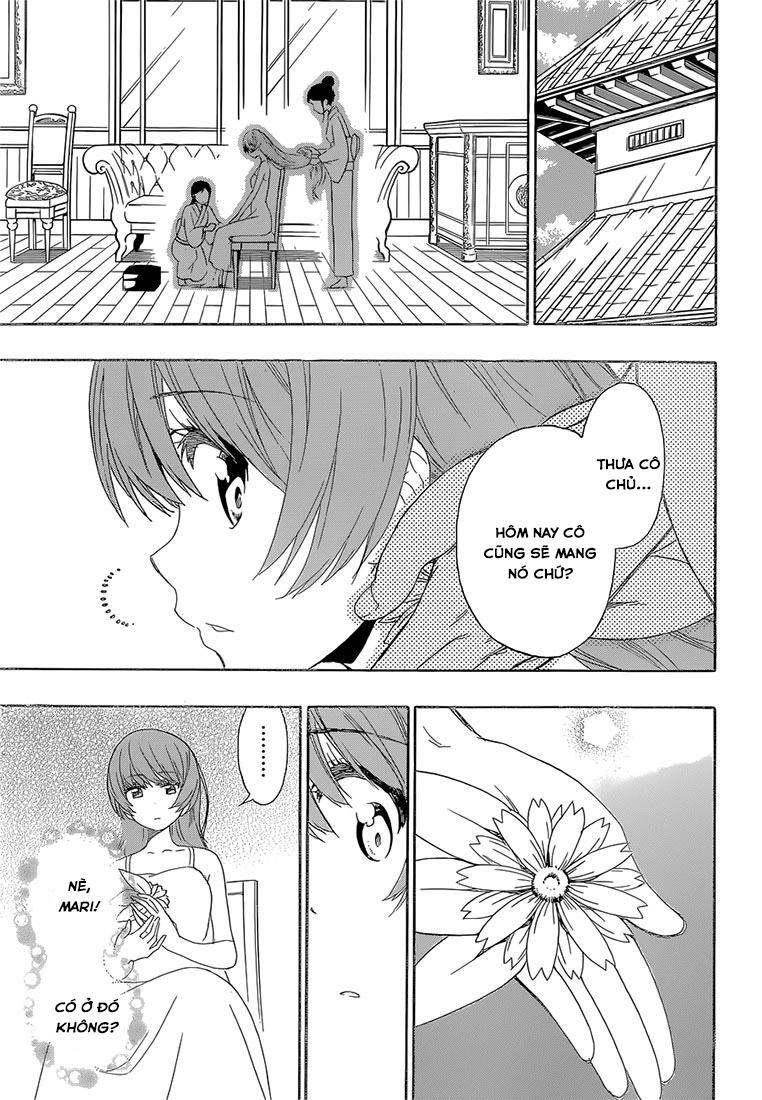 nisekoi - tình yêu giả tạo chapter 188 18