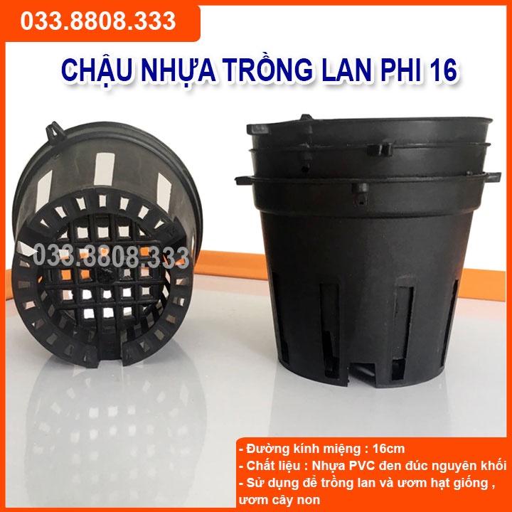 10 Chậu Nhựa Đen Ttrồng Lan PHI16 thích hợp trồng nhiều loại lan