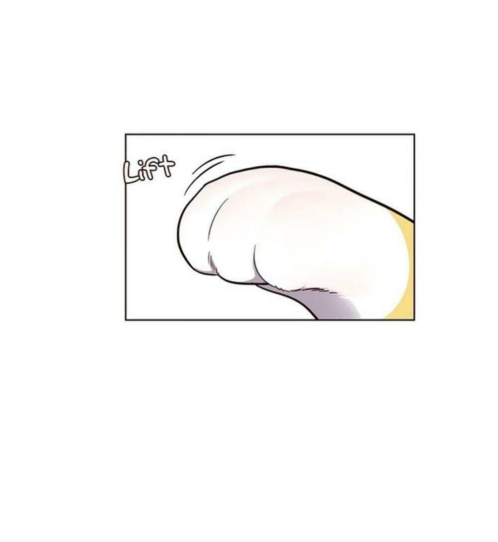 biến thân thành mèo chapter 19 97