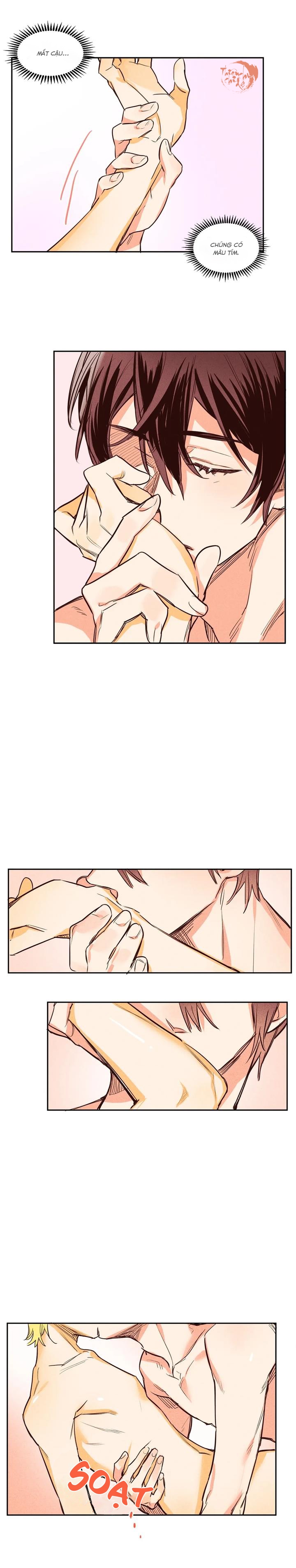pheromone shower (chim nhại) chapter 8 9