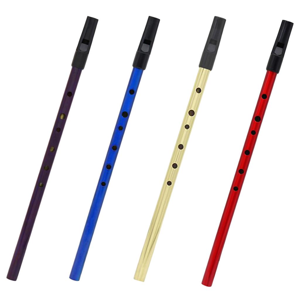 Irish Whistle Tin Whistle Flaut 6Hole Pennywhistle Ireland Instrument Purple