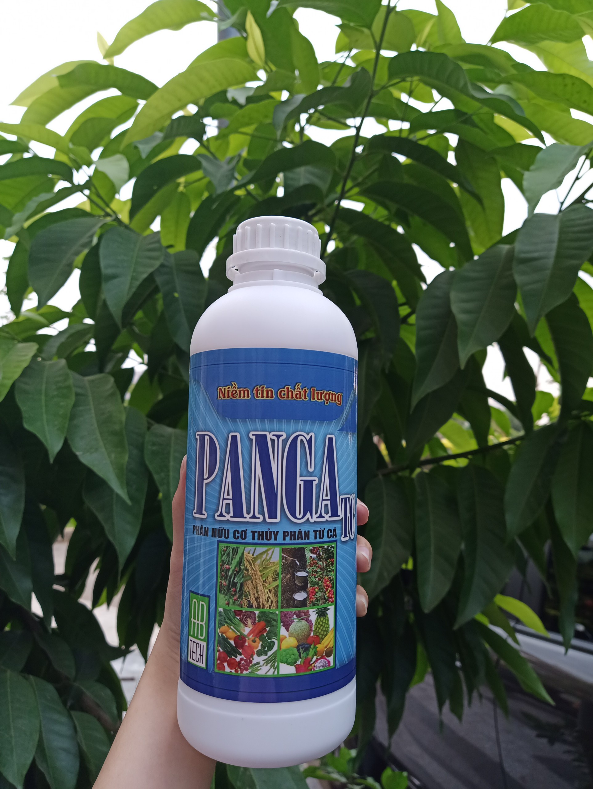 Phân bón đạm cá Panga TC cung cấp amino acids và khoáng chất cho cây, giúp bộ rễ khỏe, lá to, dày, trái ngọt