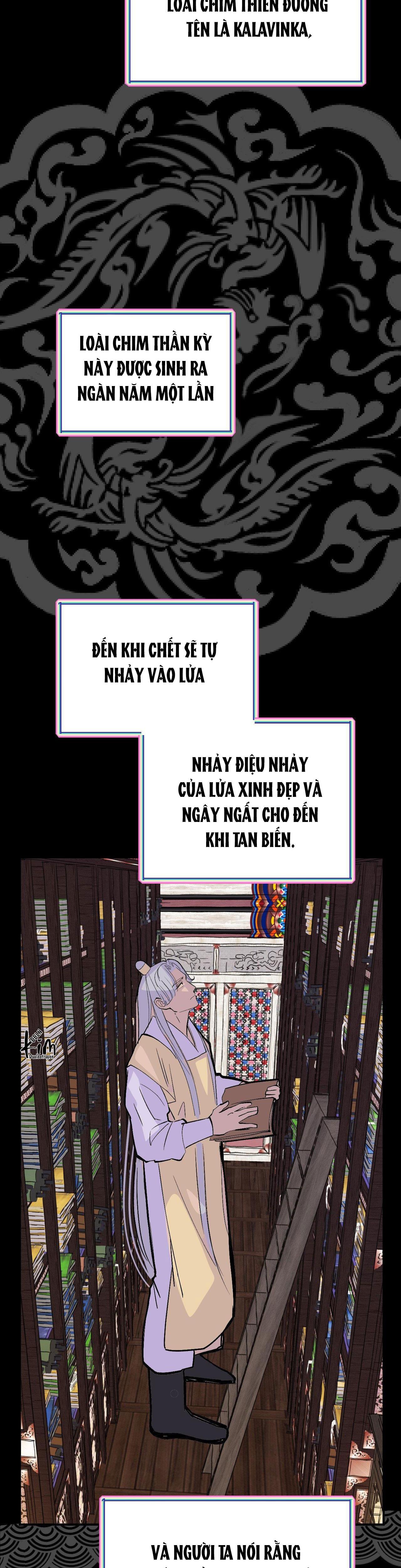 cậu bé đào chapter 9 22