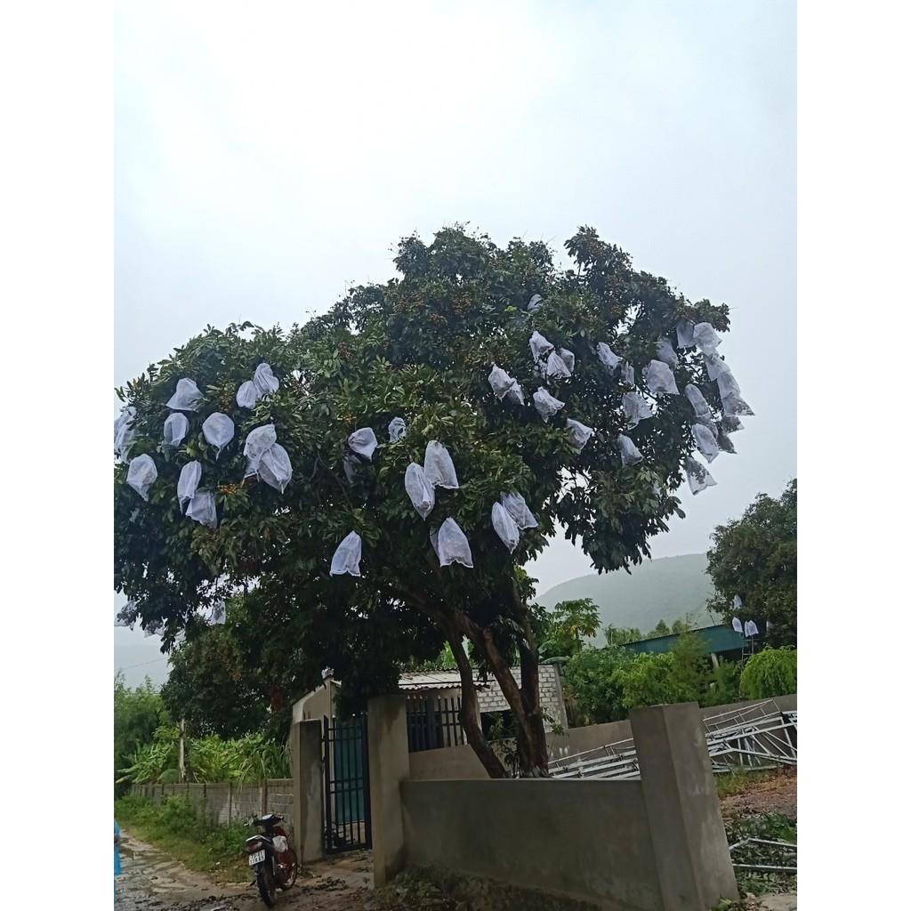 100 CÁI TÚI -DÙNG ĐẺ BAO,BỌC BƯỞI DIỄN DA XANH ,NHO,NHÃN,MÃNG CẦU XIÊM,DƯA LƯỚI,SẦU RIÊNG