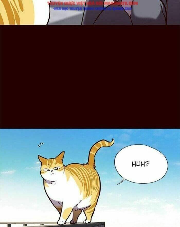 biến thân thành mèo chapter 52 45