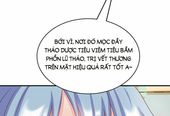 đô đốc đại nhân sủng thê kí chapter 1.7 47