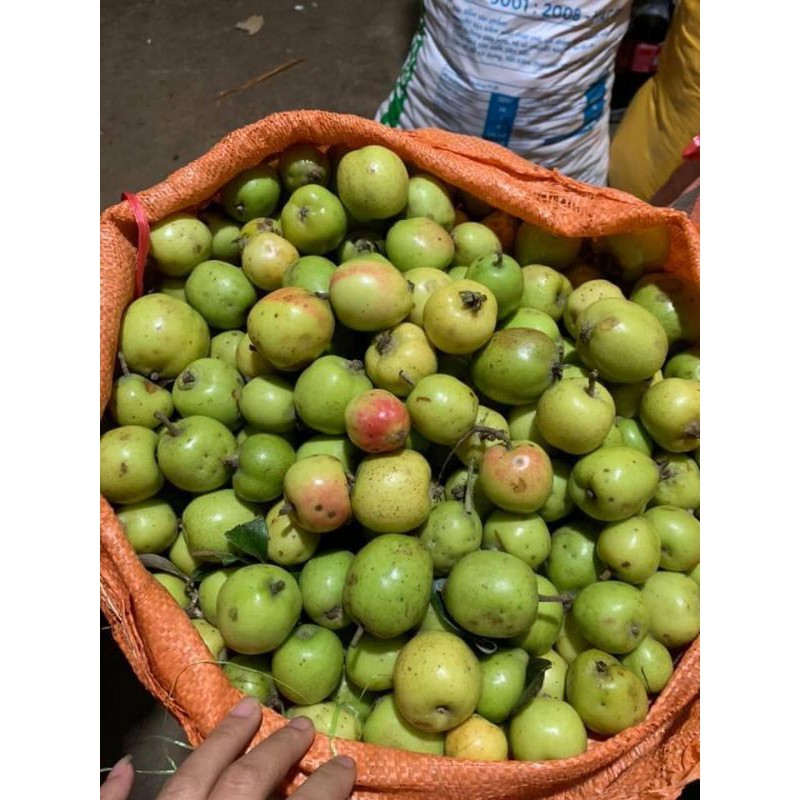 táo mèo khô ngâm rượu 1kg