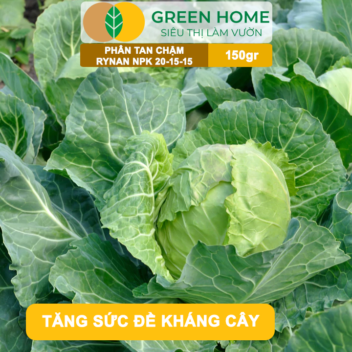 Phân Tan Chậm GreenHome, Rynan NPK 20-15-15, Hũ 150gr,Dùng Cho Loại Cây Họ Leo Bầu Bí, Mướp, Dưa Leo
