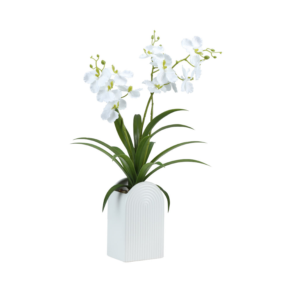 Chậu Cây Giả Polyester ANDAMAN Nhiều Màu W75xD50xH39 Cm|Index Living Mall|Nội Thất Thái Lan