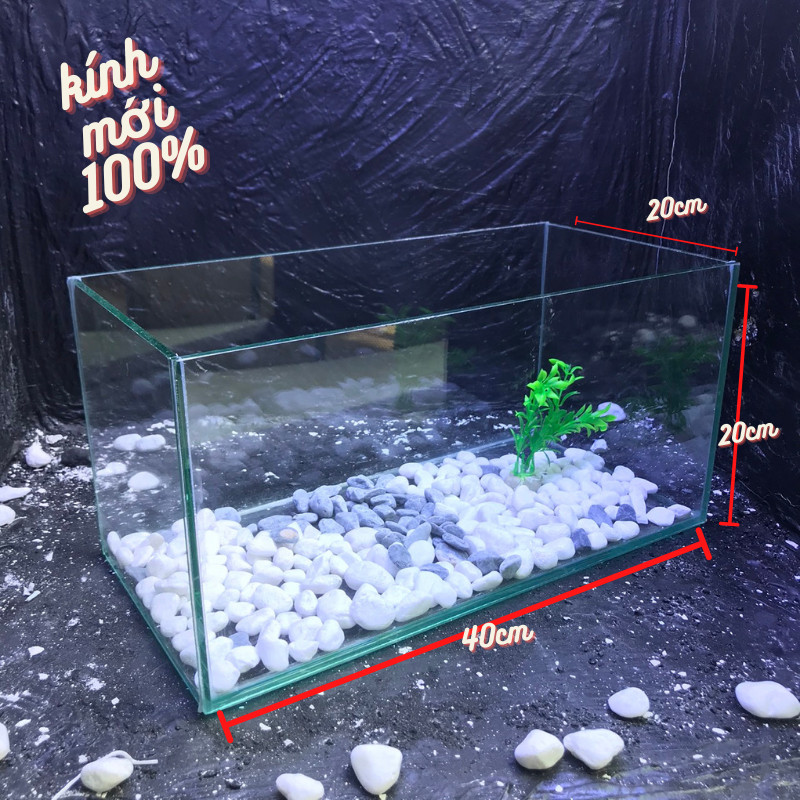 Bể cá mini 40cm - bể cá để bàn