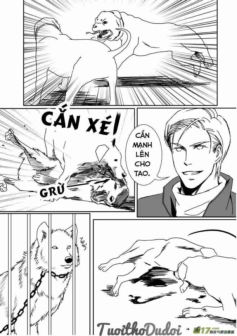 sự mê hoặc của sói chapter 37 10