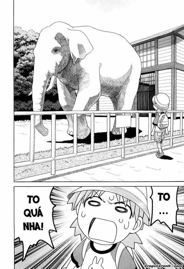yotsubato! chapter 19 20