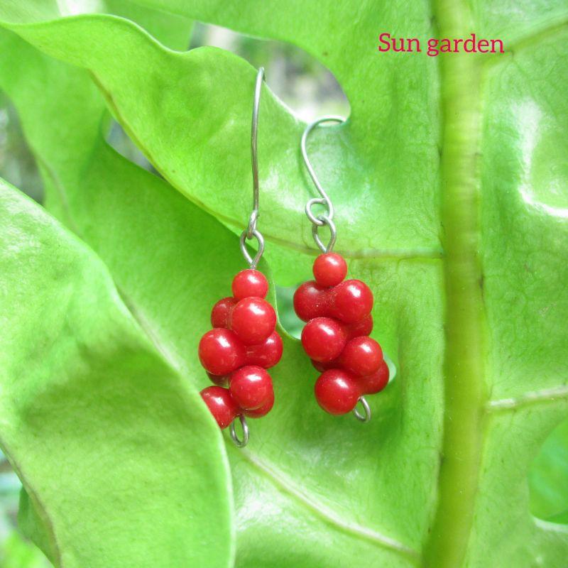 Bông tai san hô đỏ red coral sang trọng