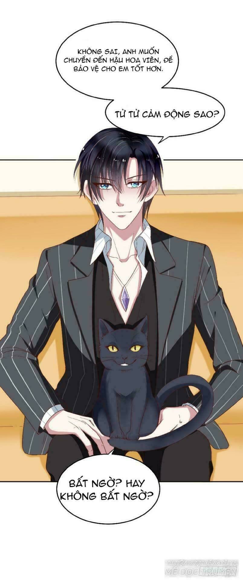 mộ thiếu, lão bà ngươi trọng sinh lại rồi! chapter 29 11