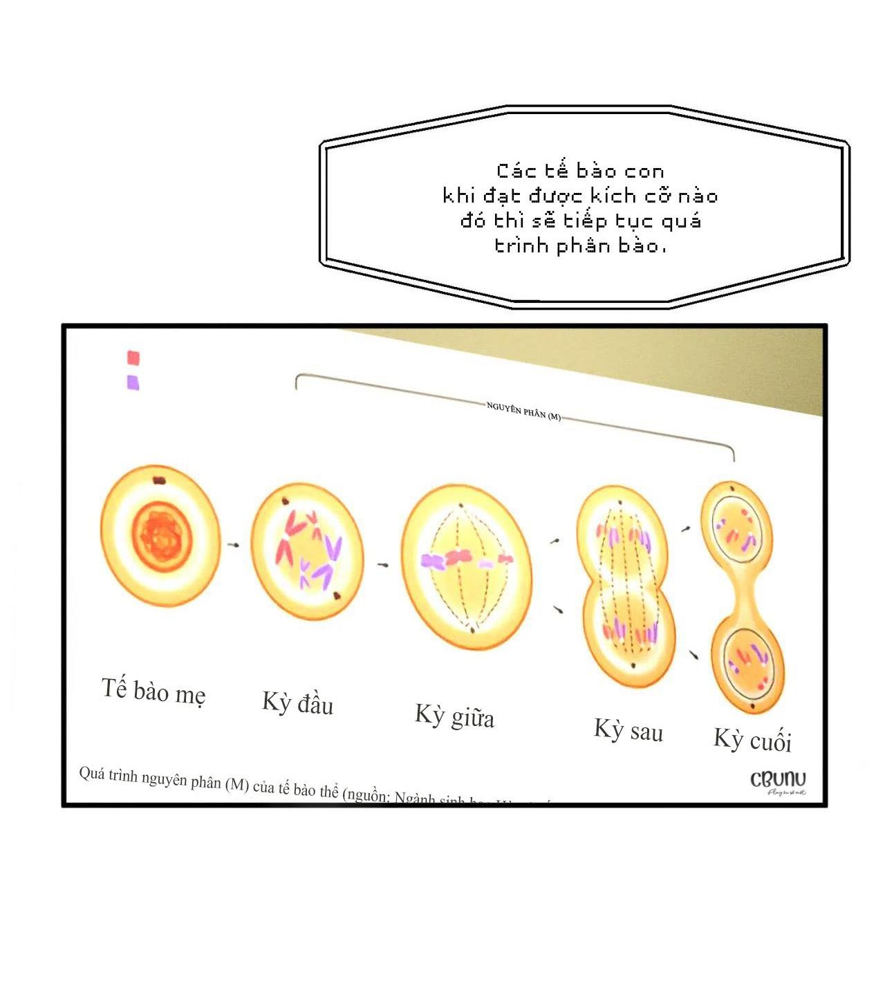 bẫy đôi ngọt ngào chapter 9 35