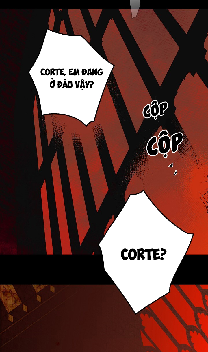 tiểu thư bí ẩn chapter 2 45