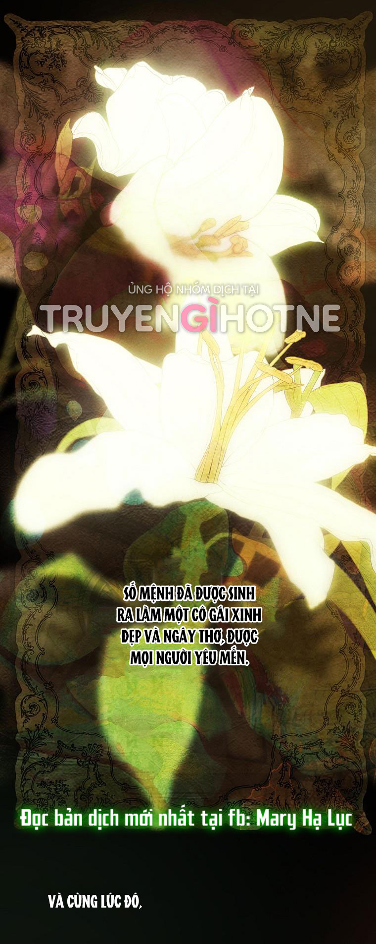 quý cô bí ẩn - secret lady chapter 78.1 18